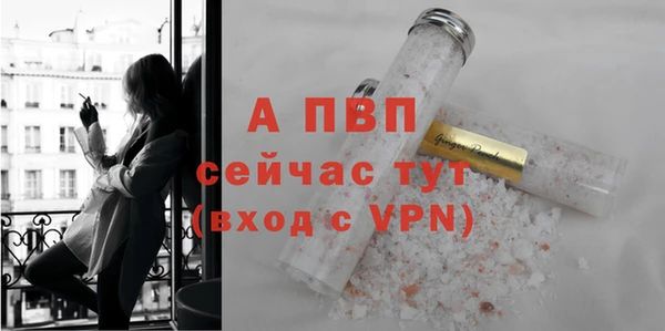 сатива Армянск