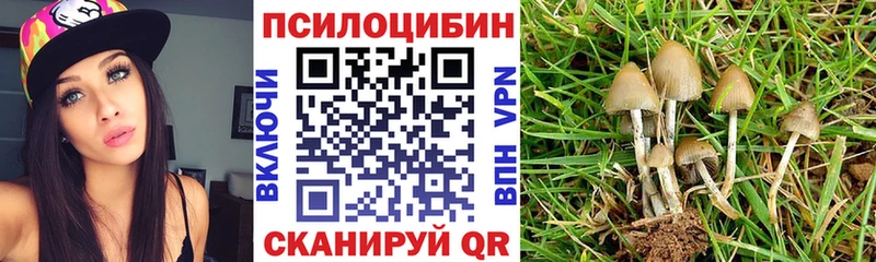 hydra tor  магазин    Астрахань  Галлюциногенные грибы Cubensis 