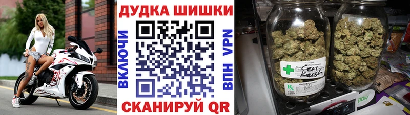 Конопля гибрид  Астрахань 